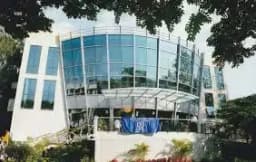 Neena English High School