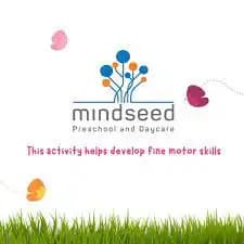 Mindseed Preschool & Daycare Mindseed Preschool & Daycare