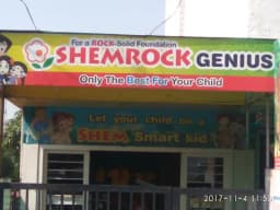 Shemrock Genius Shemrock Genius