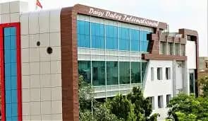 Daisy Dales International Daisy Dales International
