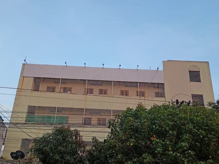 N.s. Grammar High School | N.s. Grammar High School |