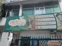 Dream Flowers Dream Flowers