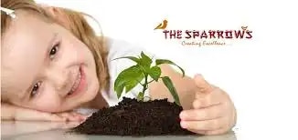 The Sparrows Preschool The Sparrows Preschool
