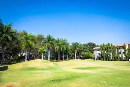 The International School Bangalore The International School Bangalore