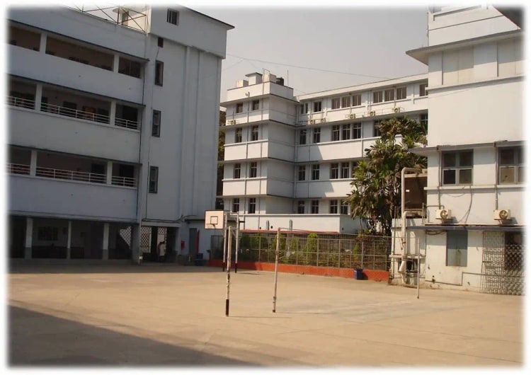 Image 3 Image 3
