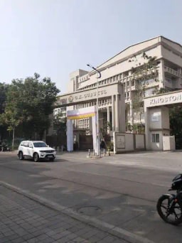 G2 Kids Daffodils Preschool G2 Kids Daffodils Preschool