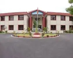 Image 3 Image 3