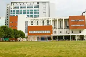 The British International School The British International School