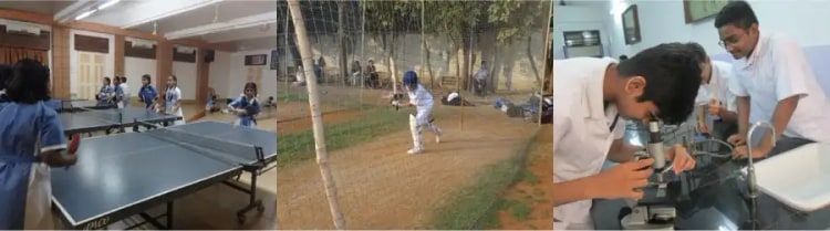 Image 2 Image 2
