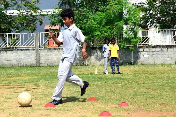 Image 3 Image 3