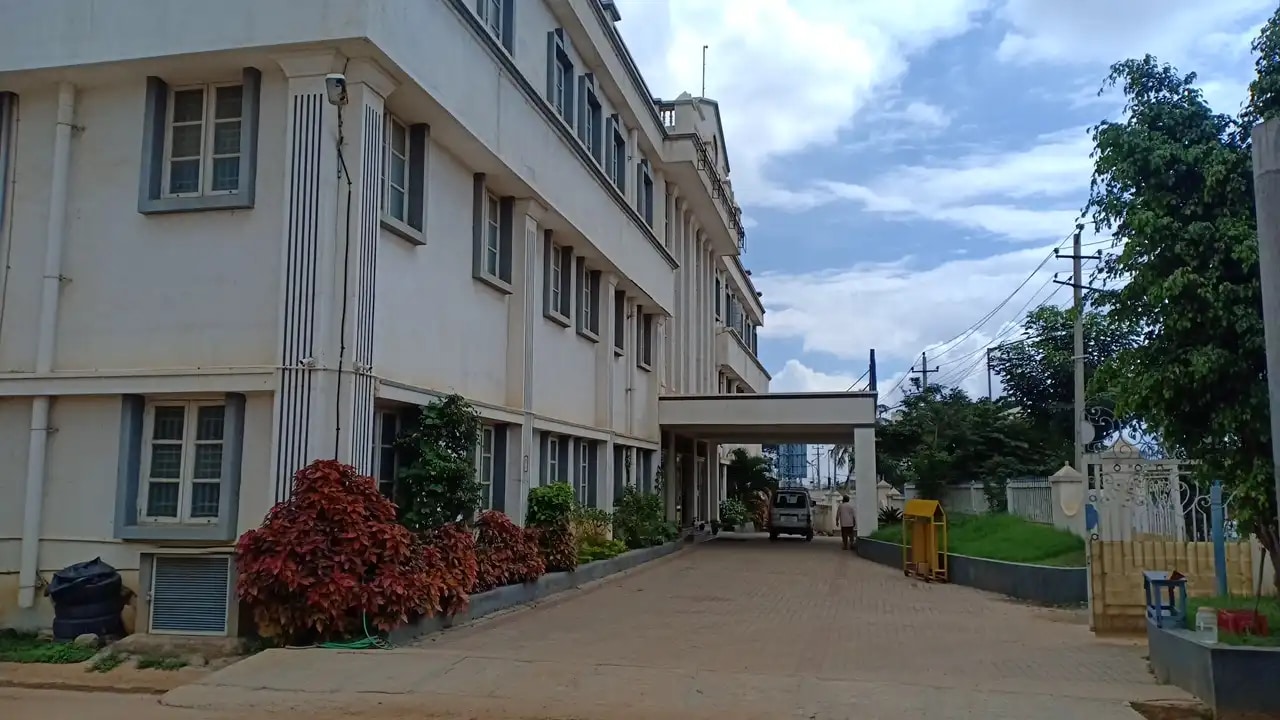 Nitsu Yaungling Nitsu Yaungling