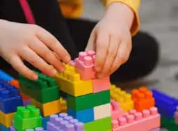 Brain Discovery Global School Brain Discovery Global School