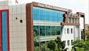 Daisy Dales International Daisy Dales International