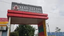 Orchids The International School Orchids The International School