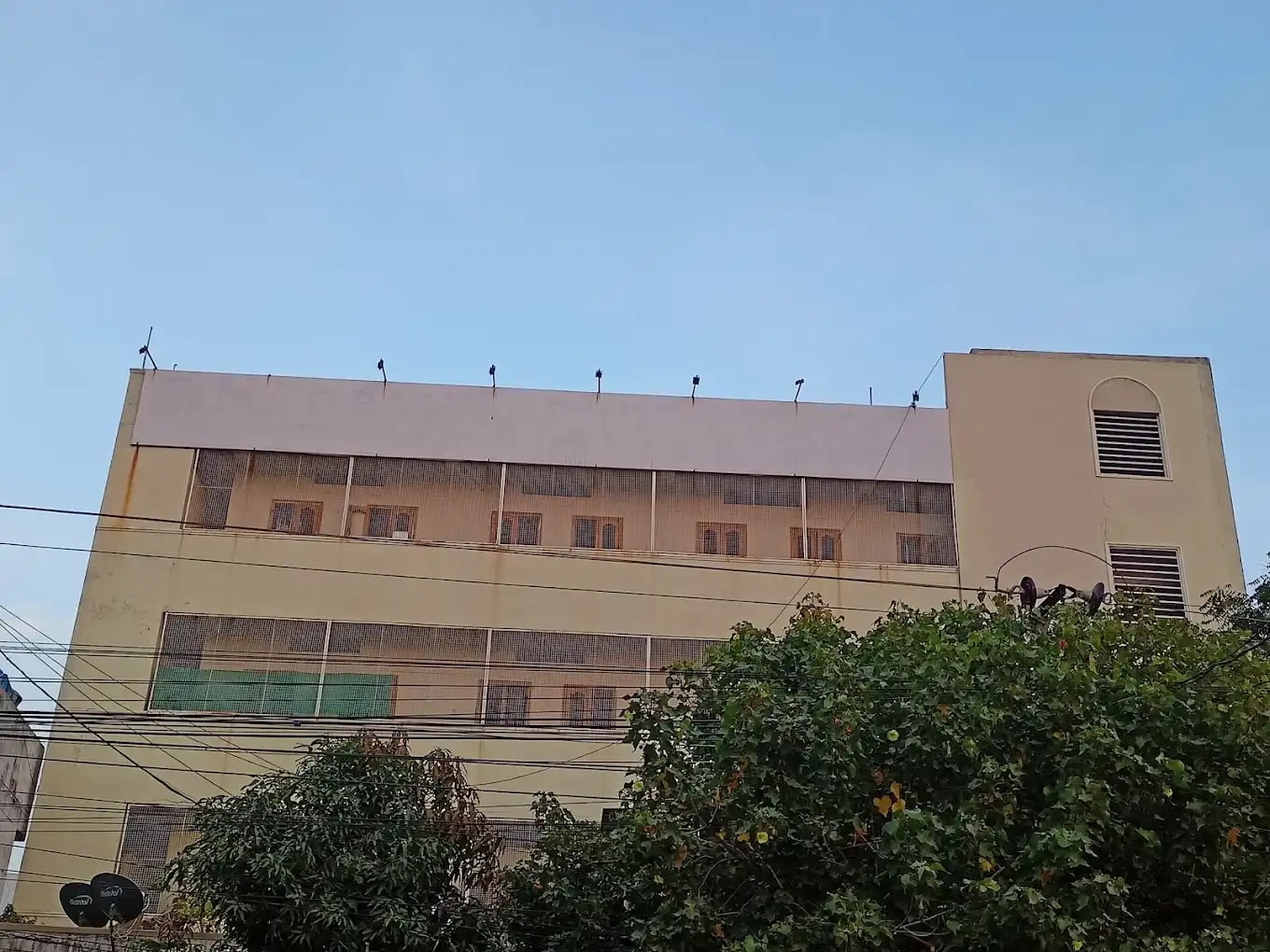 N.s. Grammar High School | N.s. Grammar High School |