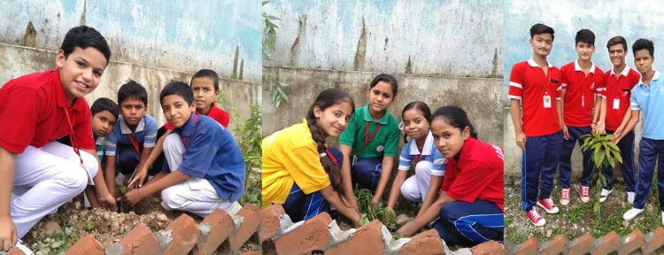 Image 2 Image 2
