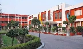 Image 3 Image 3